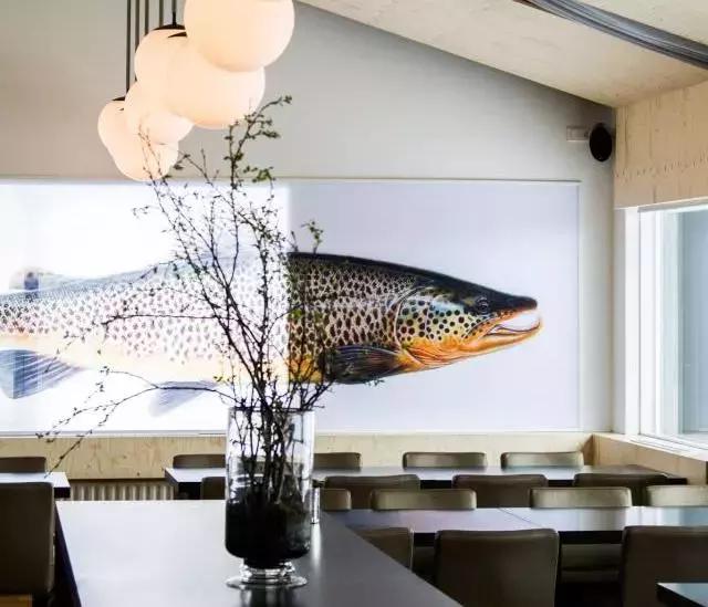 小木屋，玻璃顶，火山温泉，住这些酒店，get最cool极光姿势