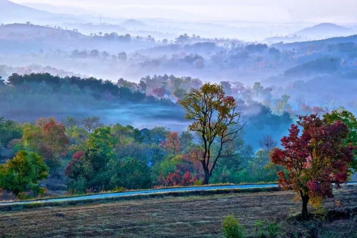 2016黄陂摄影大展,孝感新体育馆摄影大赛