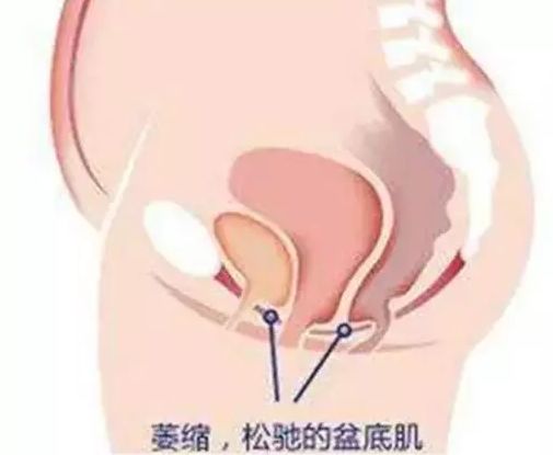 产后哪都瘦了，唯独这里不瘦