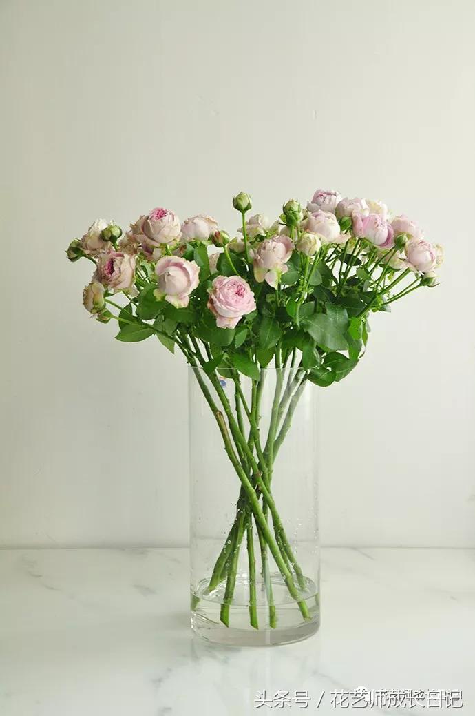 想当花艺师怎么自学,如何成为一个花艺师
