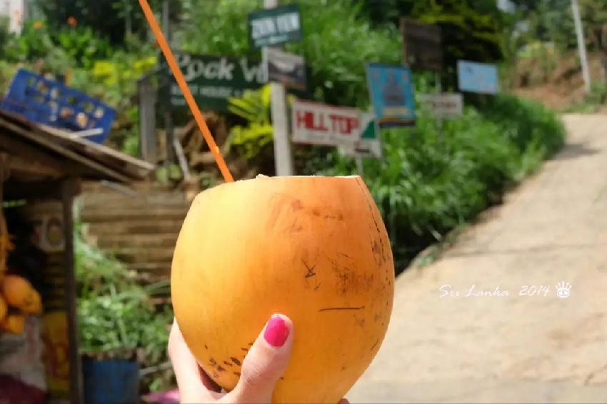 斯里兰卡旅游美食推荐,斯里兰卡旅游吃什么