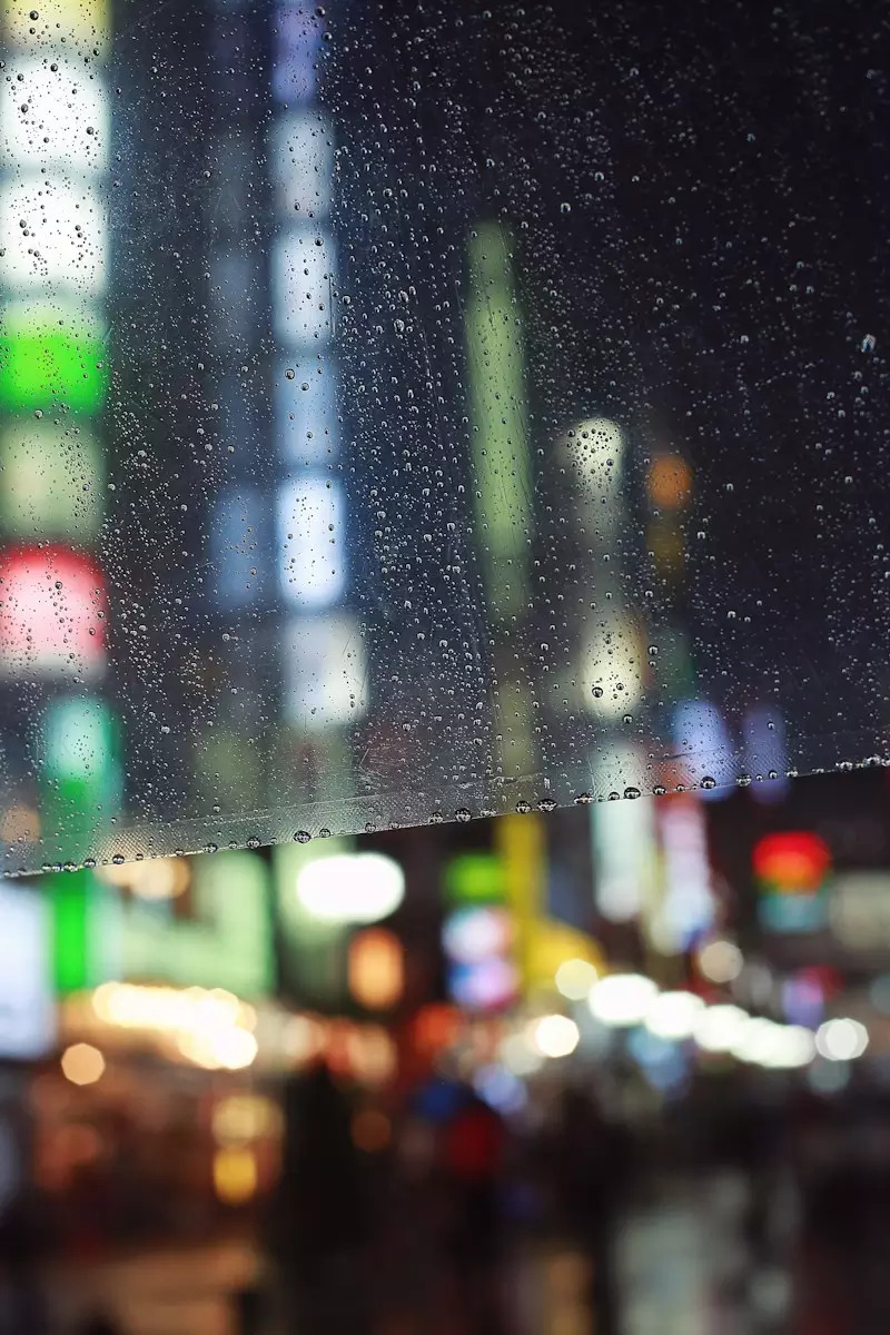 生活在别处~高冷文青携呆萌侄子游日本（攻略篇）