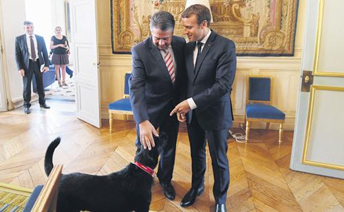 法国总统轶事,法国总统的狗狗