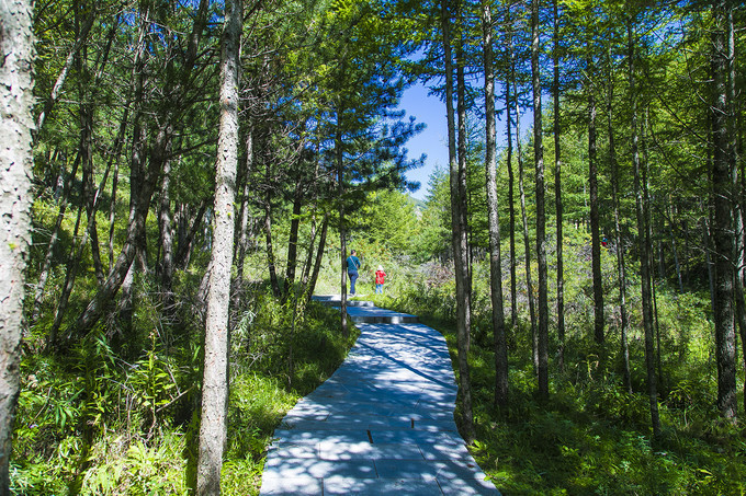 固原六盘山，毛主席说不到长城非好汉，此长城不是彼长城