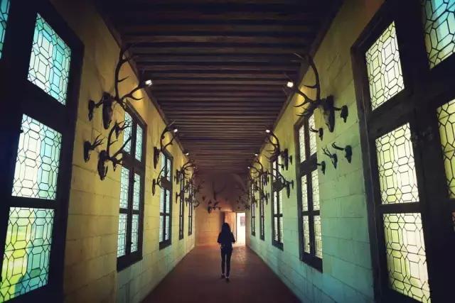 生活在别处完整版歌曲,生活在别处完整版