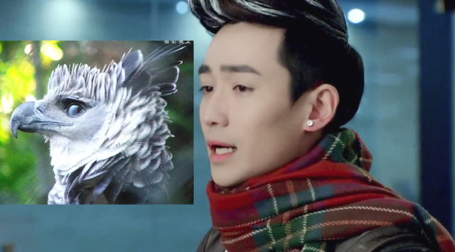 打五元麻将被拘15天,打5元的麻将被拘留了15天