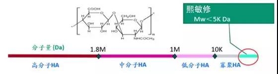 玻尿酸原液精华正确使用方法,玻尿酸安瓶和精华液有什么区别