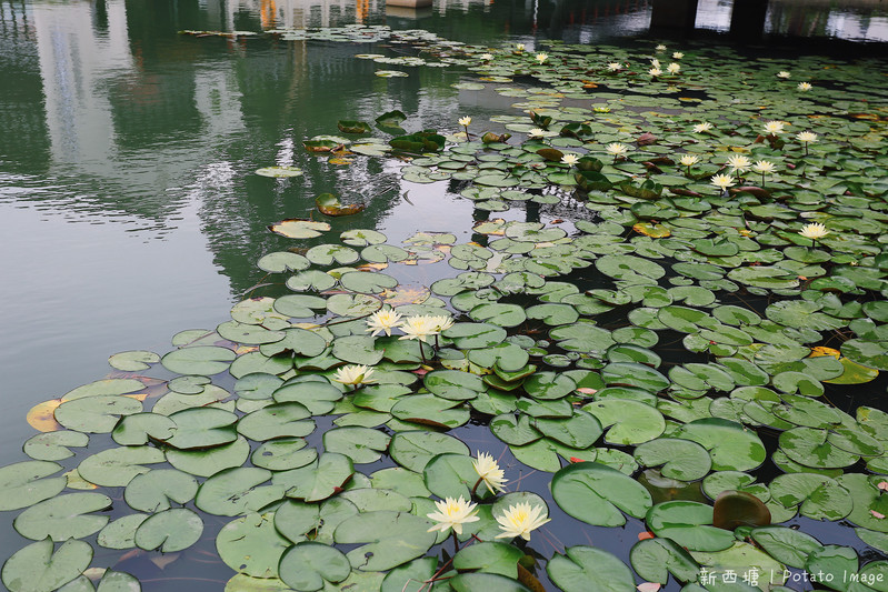 杭州两天一夜旅游西塘攻略,周庄同里乌镇西塘小桥流水