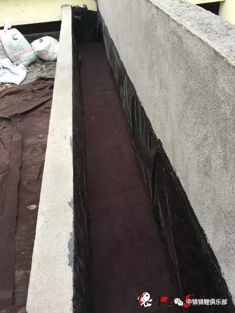 楼顶鱼池有哪些,屋顶鱼池的建造方法