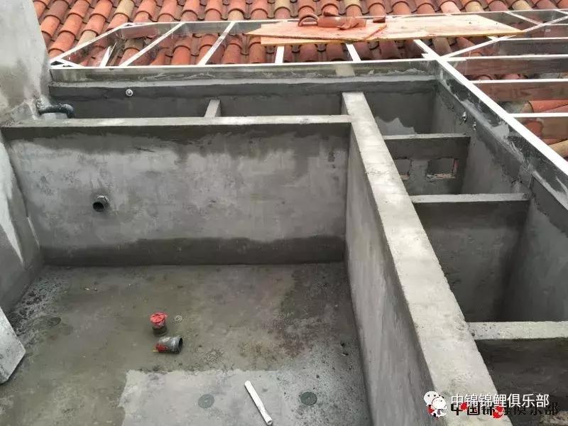 楼顶鱼池有哪些,屋顶鱼池的建造方法