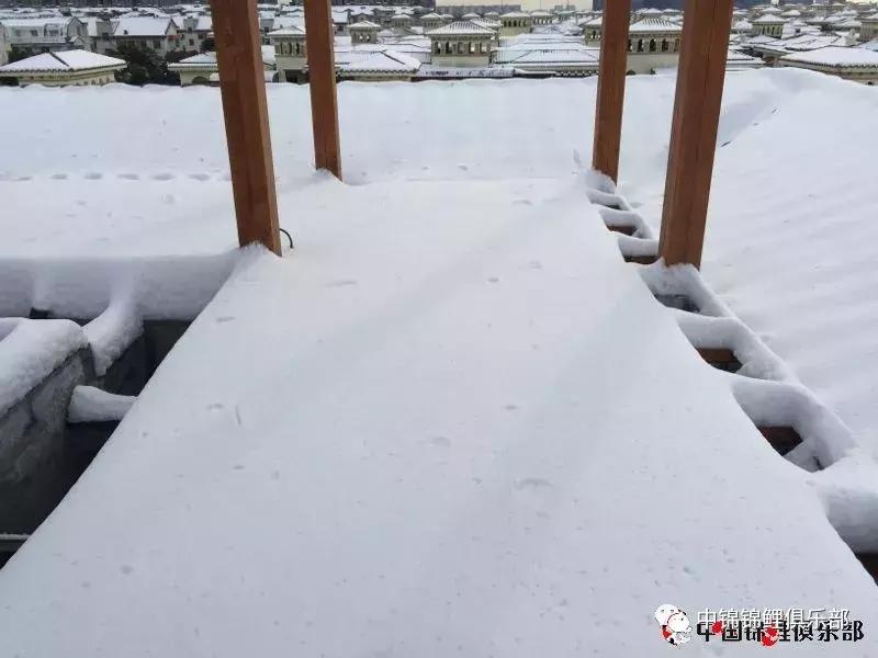 楼顶鱼池有哪些,屋顶鱼池的建造方法