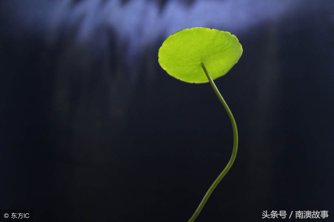 潮汕讲古怪事完整版,潮汕有什么讲鬼故事的