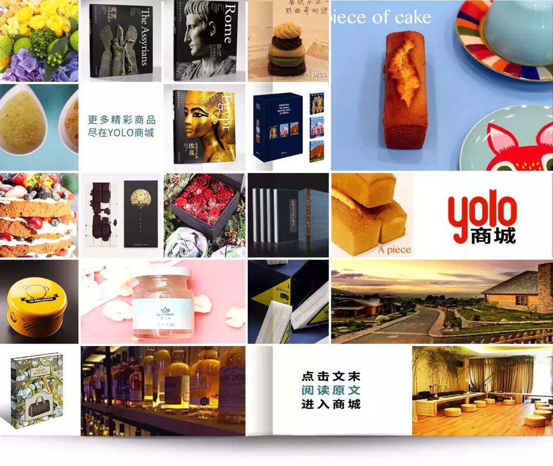 汤姆克鲁斯冒险,汤姆克鲁斯多拼命