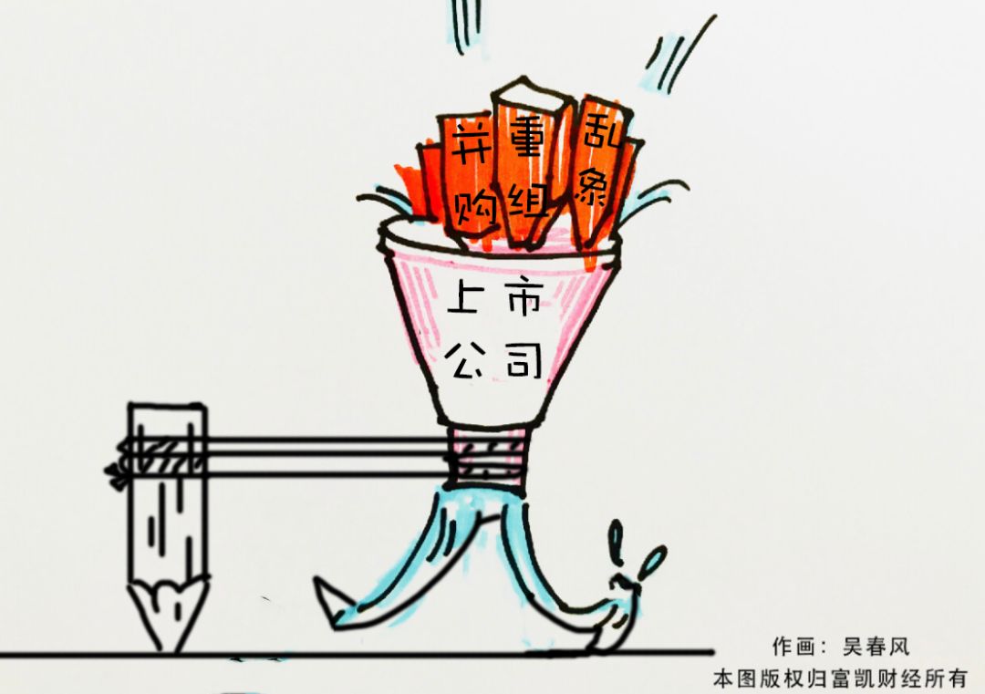 雪莱特终止定增原因,雪莱特概念股票