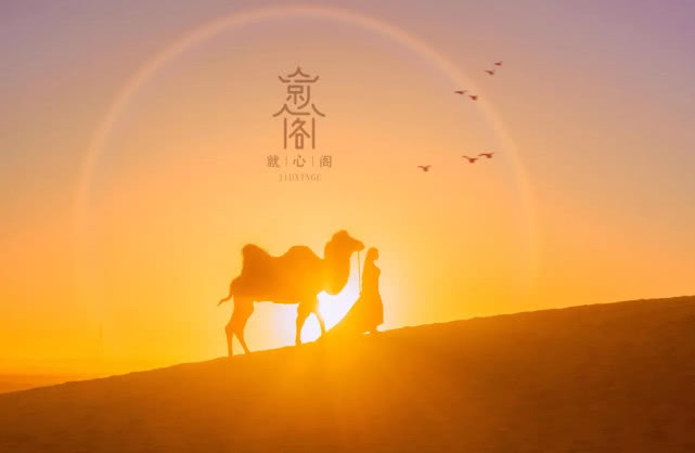 子宫内膜异位症引起的盆腔粘连,盆腔粘连子宫异位