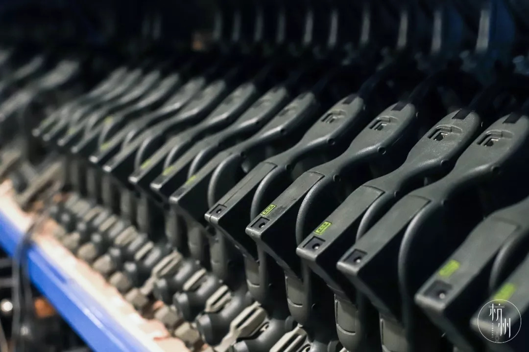 真人吃鸡海滩战斗,吃鸡真人版真实场地