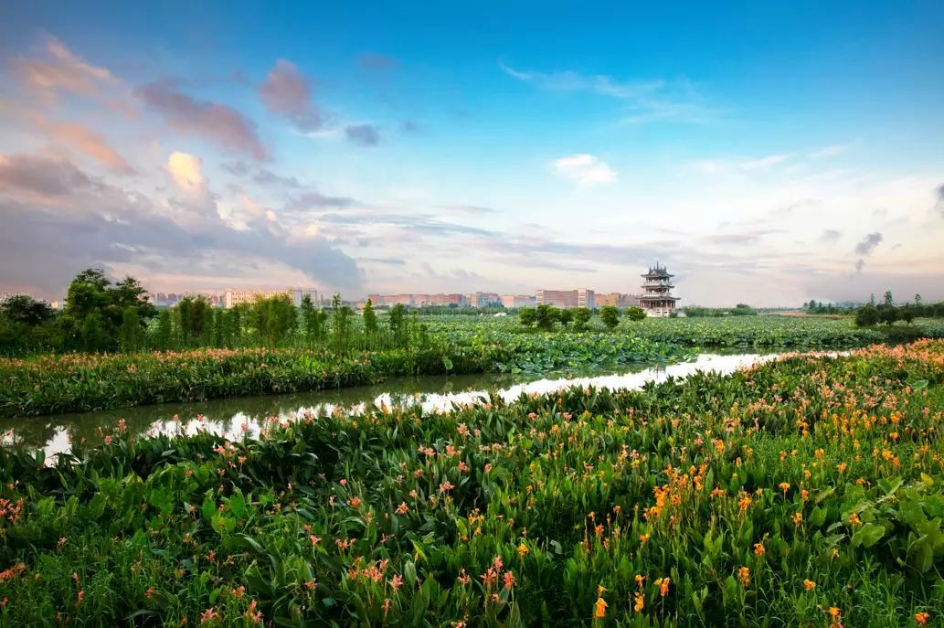 麻涌全域旅游发展,麻涌乡村旅游