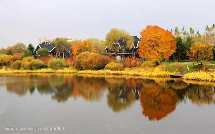 国庆伏尔加庄园,哈尔滨伏尔加庄园三日游