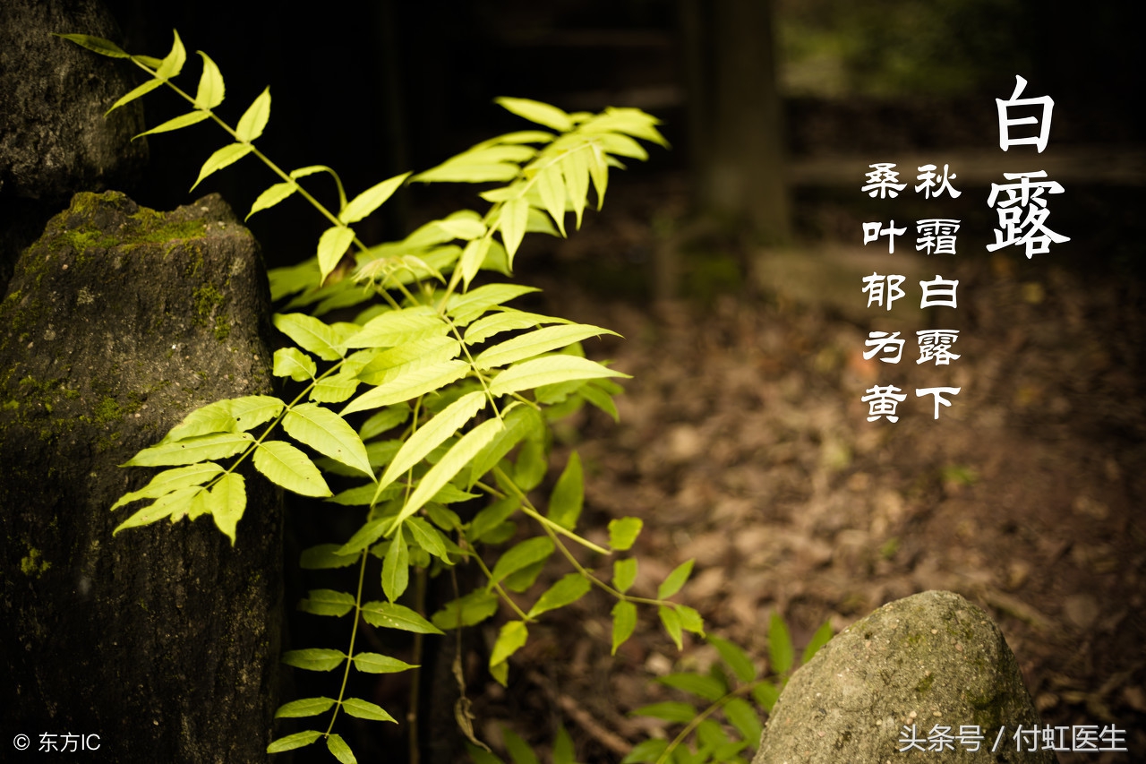 2cm的囊肿会导致痛经么,痛经一次比一次厉害怎么回事