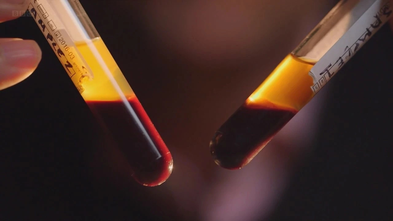 明明是科普纪录片，主持人却用自己的血做起了“暗黑美食”