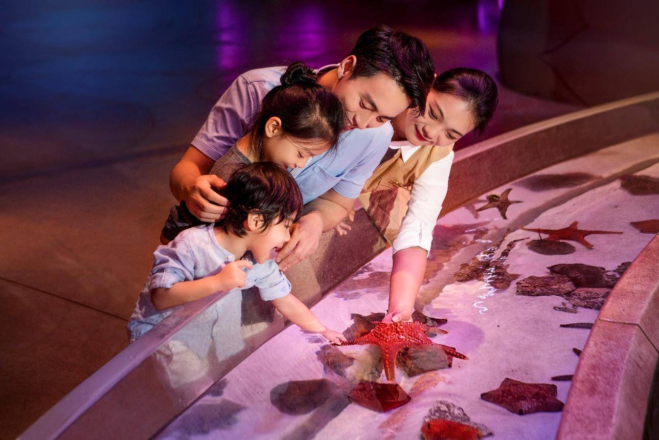 三亚亚特兰蒂斯公寓旅行攻略,三亚旅游住宿亚特兰蒂斯