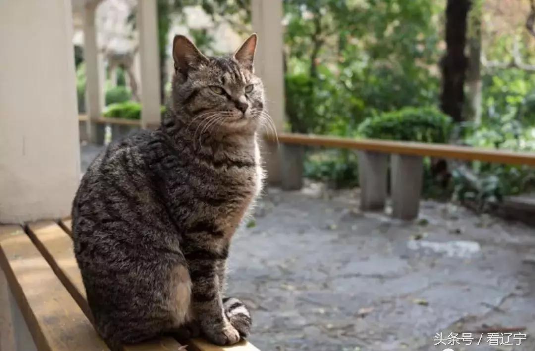 明天，辽大70周年了，你可曾记得我们埋头苦读的岁月？