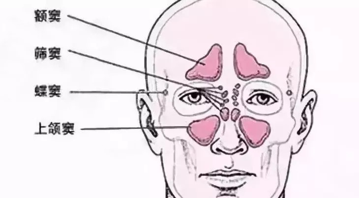 儿童好用的鼻炎喷剂,日本儿童鼻炎喷雾药