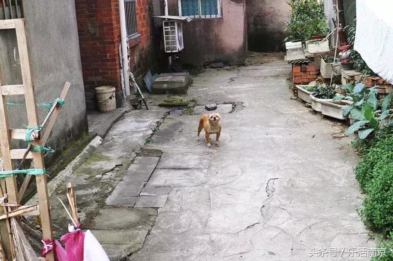 南京板桥的缺点,南京被遗忘的板桥