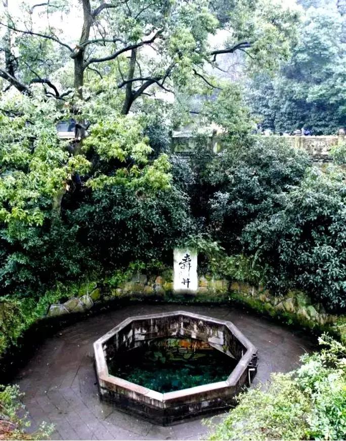 卧龙电气陈建成,卧龙电驱陈建成董事长