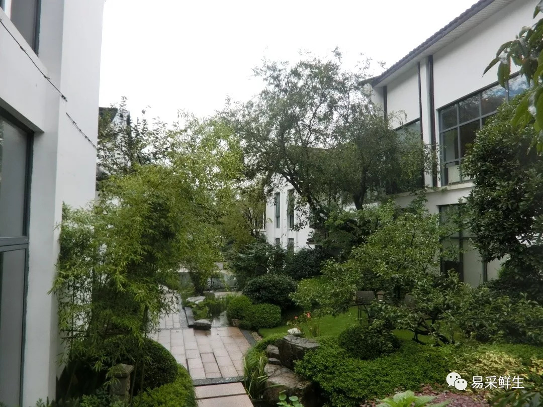 凯泰资本如何,凯泰资本排名