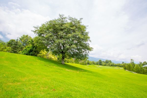 大理苍山高尔夫云境,大理苍山高尔夫