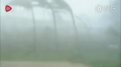 山竹登陆首日自救辟谣与全城戒备,风王山竹什么时候停运