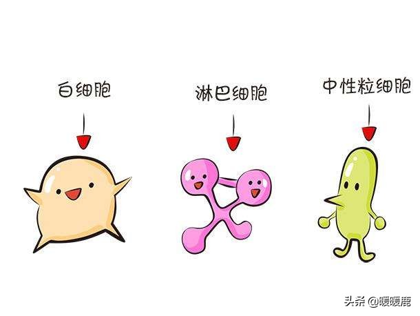 孕25周查出妊娠期高血压高风险,糖尿病孕妇需要做哪些产检