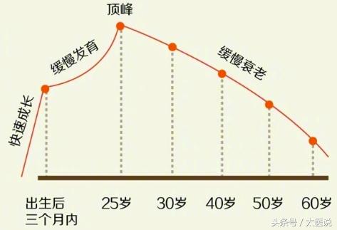 更年期如何锻炼大脑,如果大脑不衰老脑力会一直提升