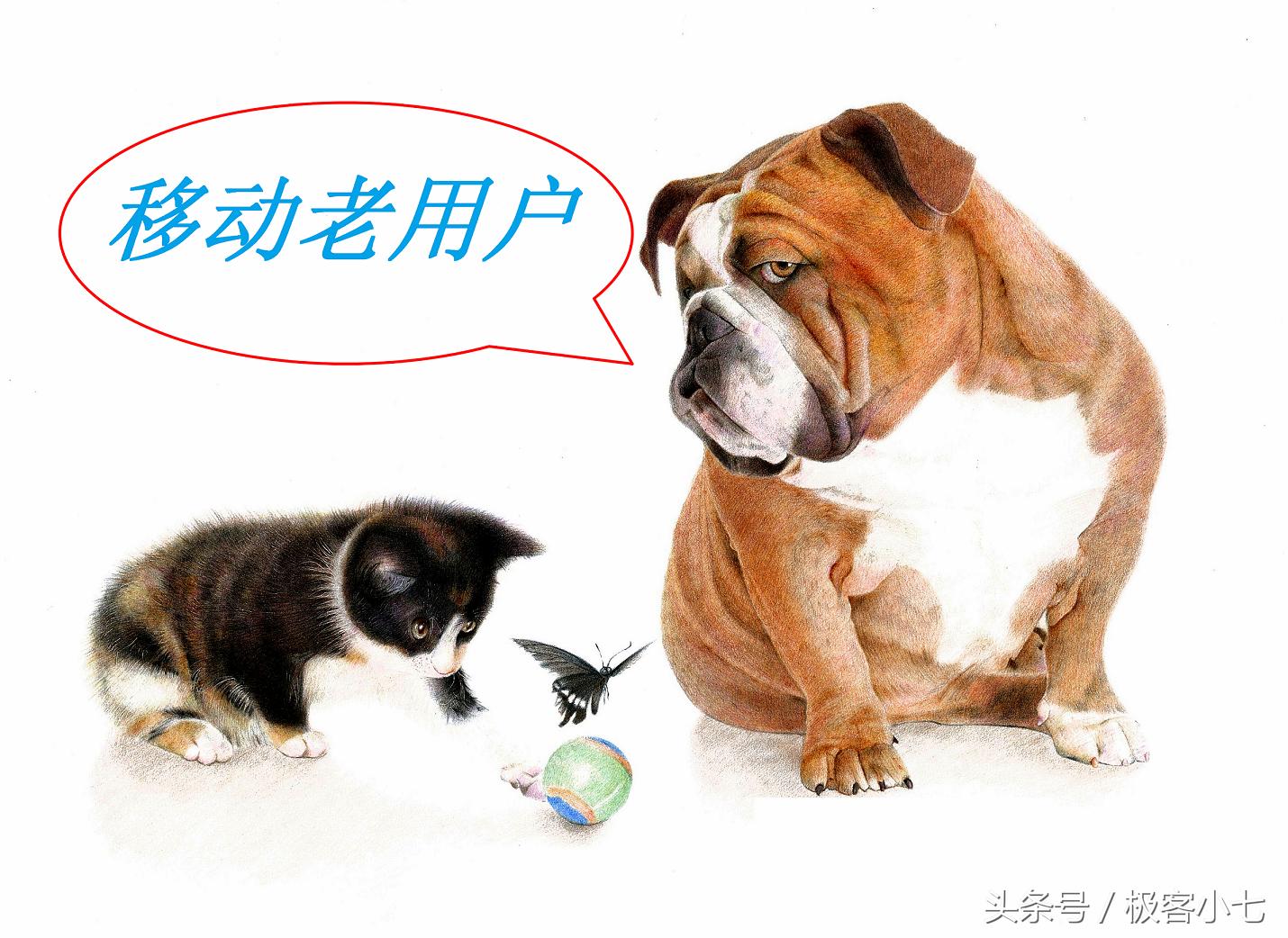 电信9元新套餐40g流量100分钟通话,移动套餐比电信套餐便宜很多