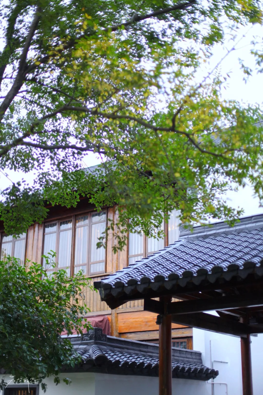 沙家浜二日游旅游攻略,沙家浜春节一日游攻略