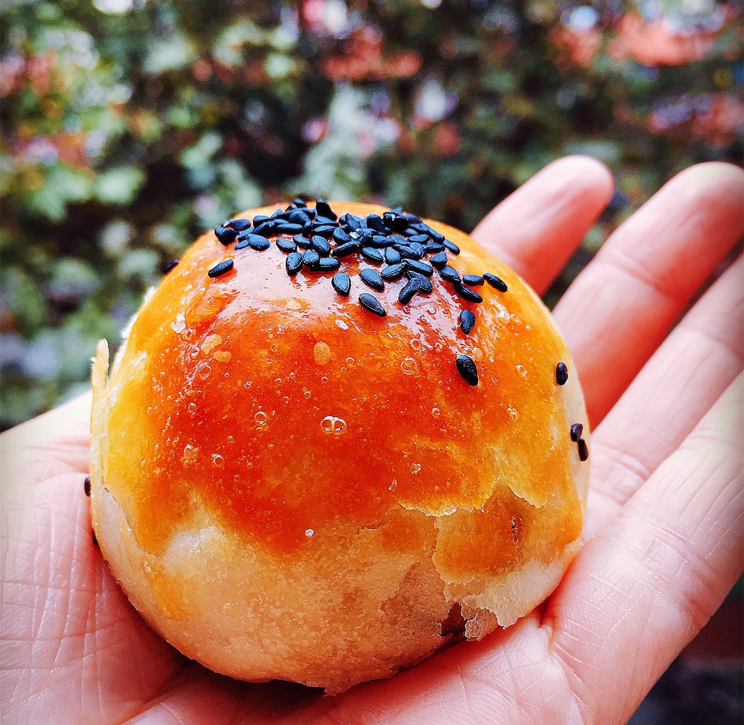 娣樺疂濂藉悆鐨勮泲榛勯叆鎺ㄨ崘,娣樺疂搴椾笂鐨勮泲榛勯叆