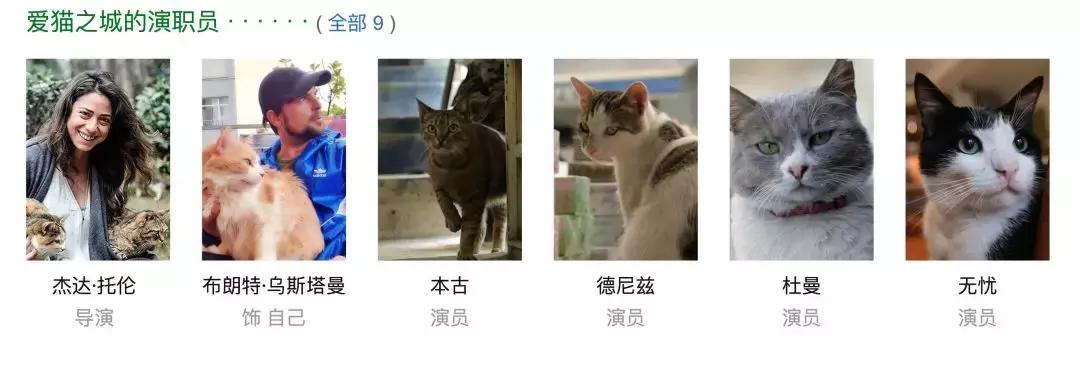 本周院线新片,本周新片先看哪一部