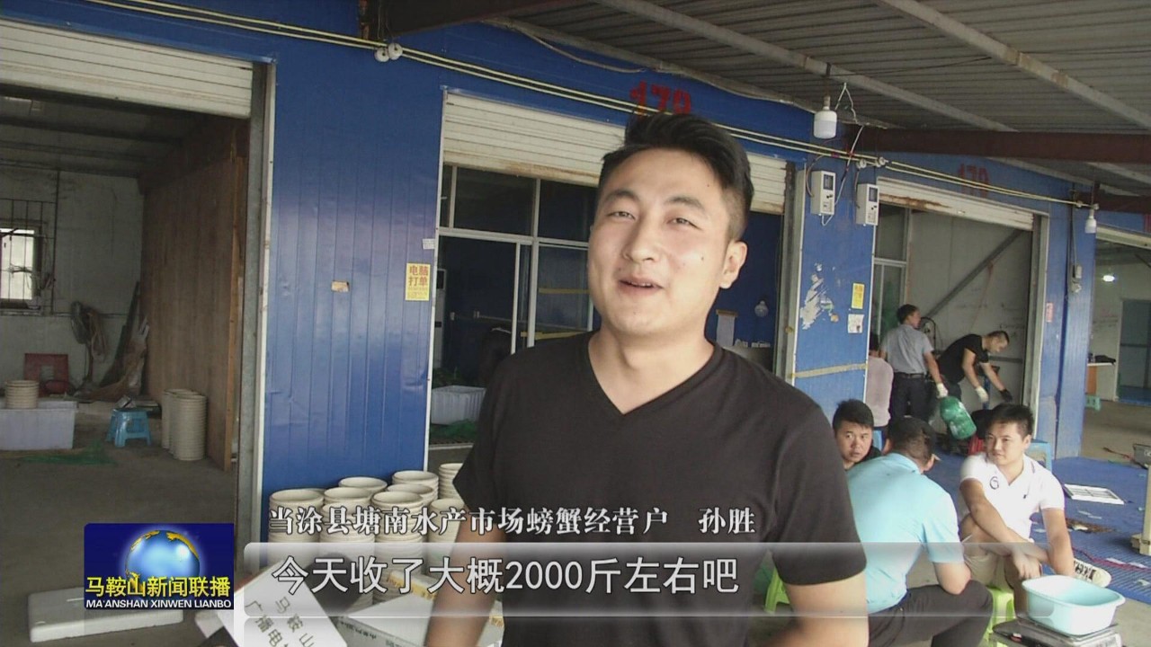 当涂塘南螃蟹批发市场,马鞍山当涂螃蟹批发市场在哪里