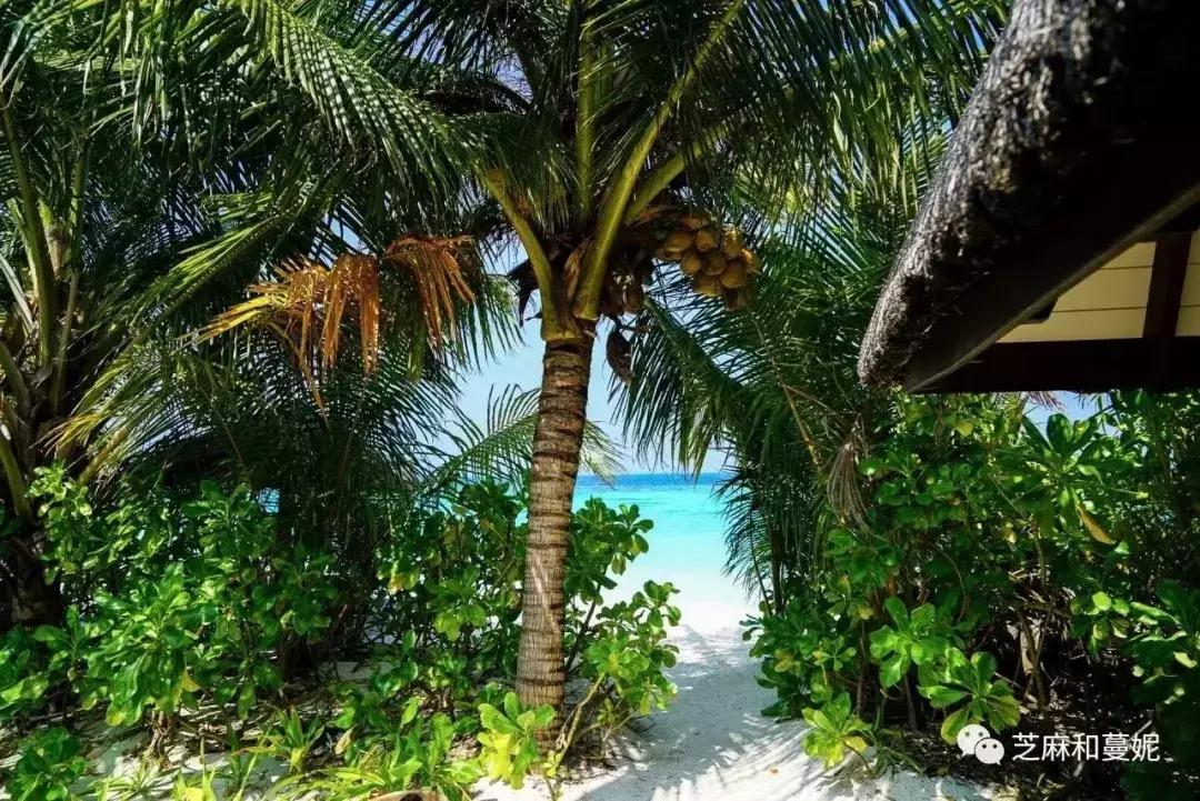 带两个孩子的妈妈去旅行,带两个孩子的妈妈去旅游