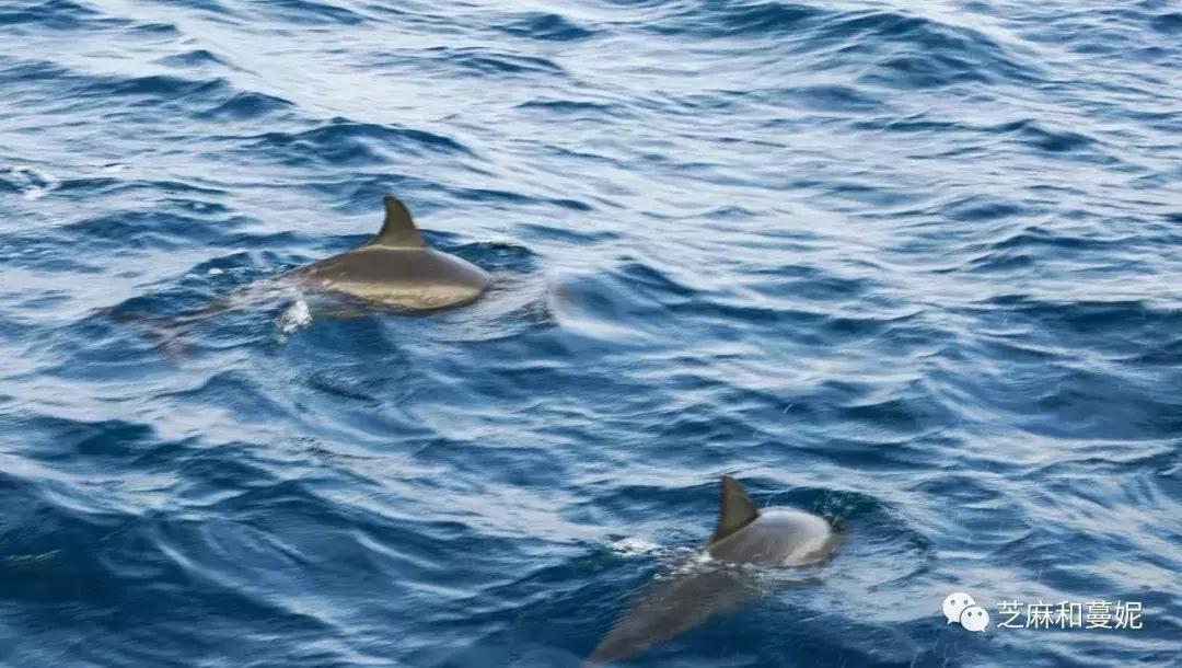 带两个孩子出去的妈妈,带两个孩子的妈妈去旅行