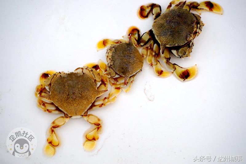 泰国小众岛屿沙美岛,泰国小众岛屿日落