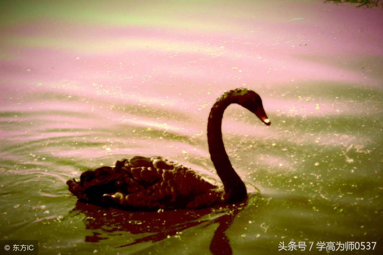 人教版语文一年级古诗谚语总结,部编版一年级语文上册必背古诗词