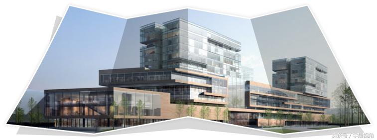 letsdiet系列产品屡创销售新高谁将成为下一个“爆款”？