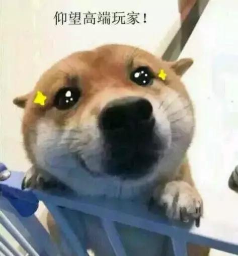 一入电竞深似海从此误终生,一入电竞深似海从此抖腿不会改