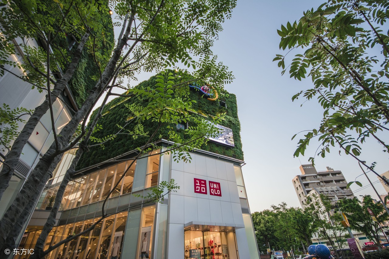 记录蛇口游轮海上之旅,现在的天海邮轮