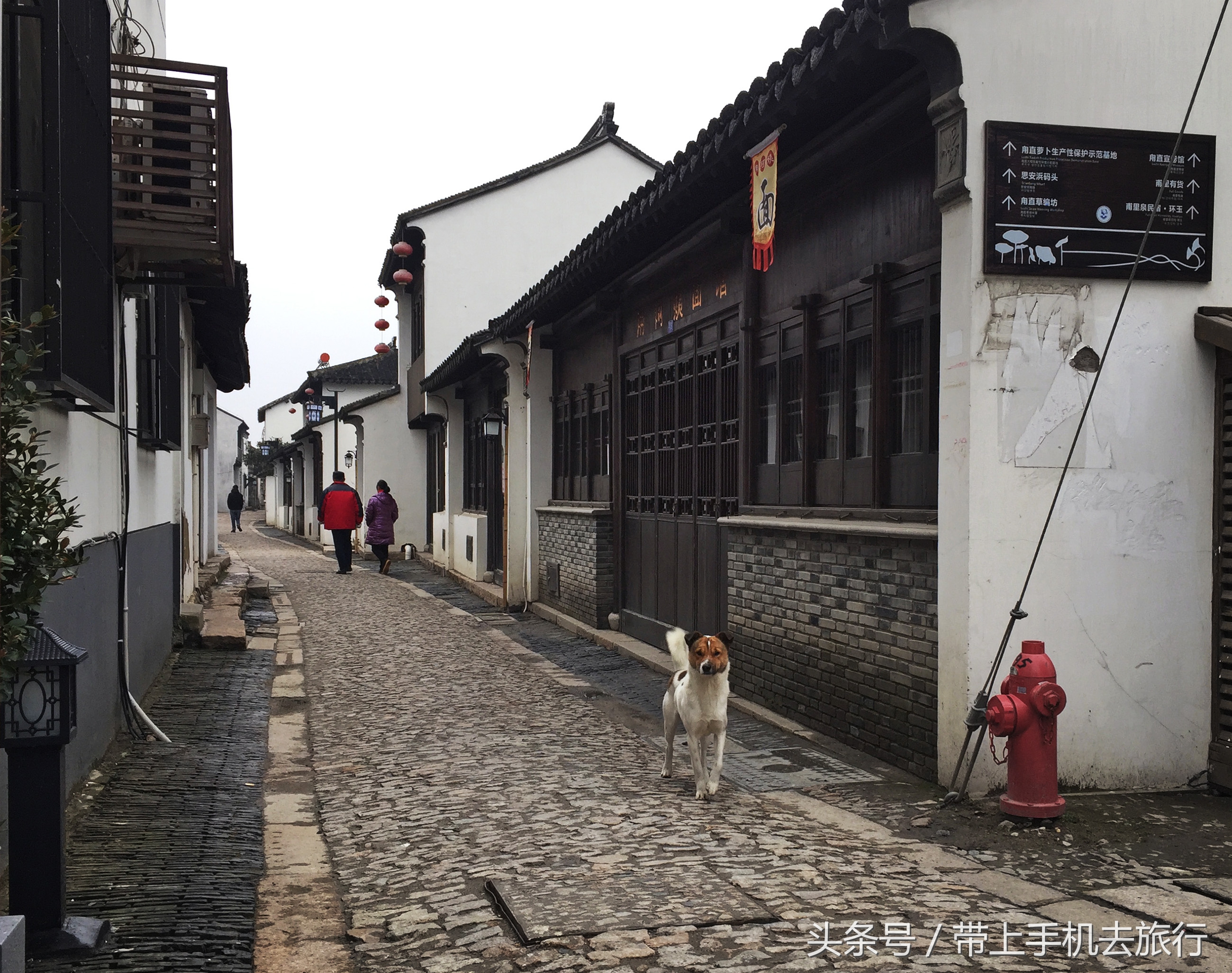 甪直古镇以日行万里神兽而得名,甪直古镇怎么出名的