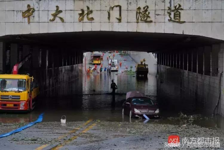 “山竹”过后首个工作日：广东人爬树都要去上班！