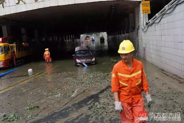 “山竹”过后首个工作日：广东人爬树都要去上班！