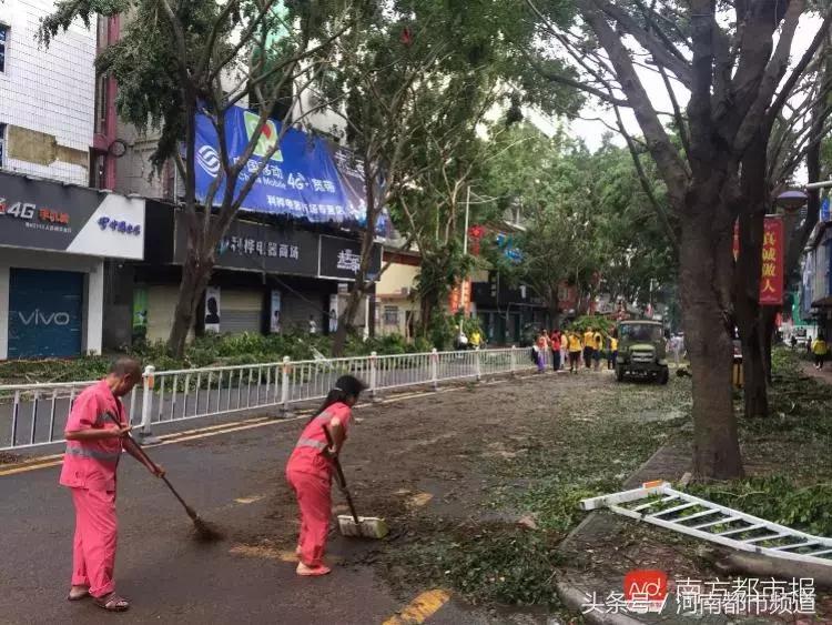“山竹”过后首个工作日：广东人爬树都要去上班！